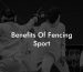 Benefits Of Fencing Sport