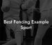 Best Fencing Example Sport