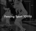 Fencing Sport 10996