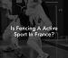 Is Fencing A Active Sport In France?