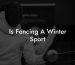 Is Fencing A Winter Sport