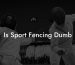 Is Sport Fencing Dumb
