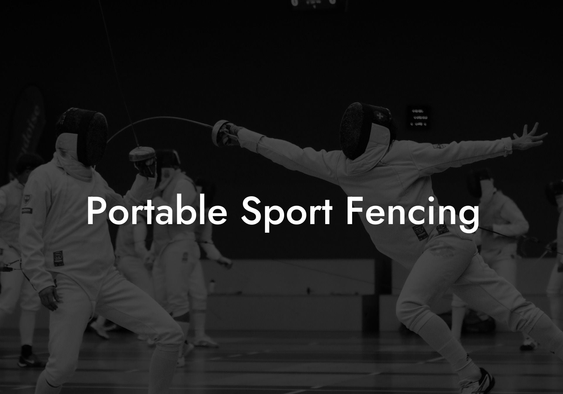 Portable Sport Fencing