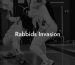 Rabbids Invasion