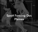 Sport Fencing Des Plaines