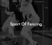 Sport Of Fencing