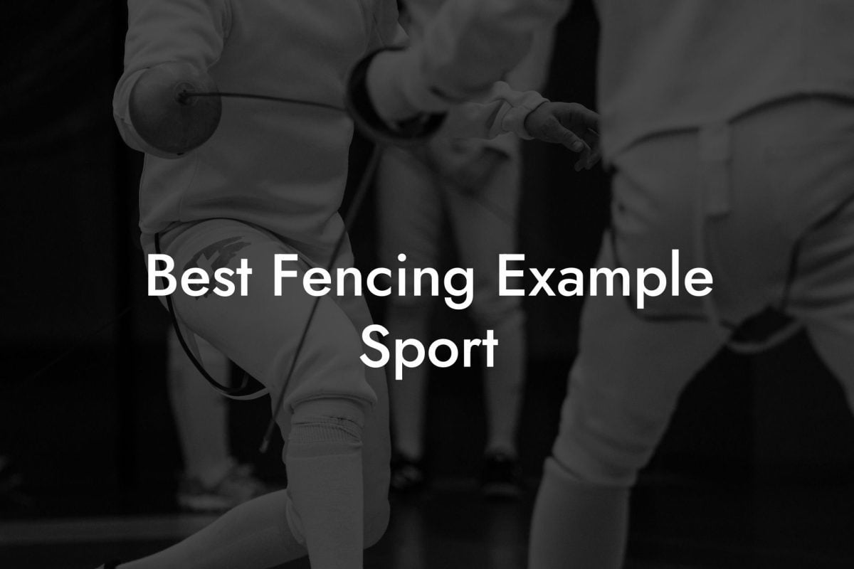 Best Fencing Example Sport
