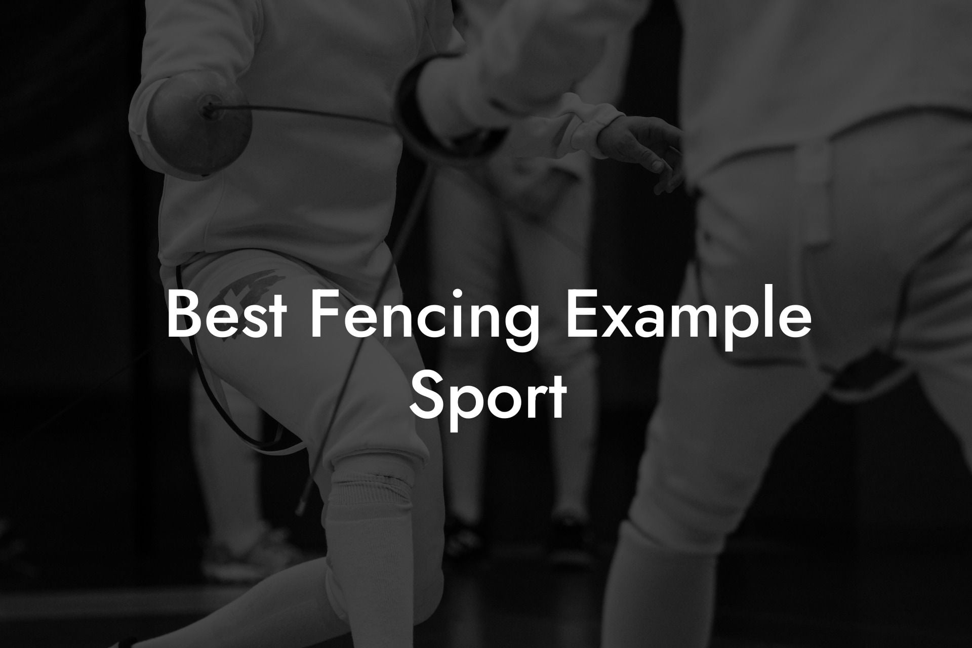 Best Fencing Example Sport