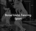 Boise Idaho Fencing Sport