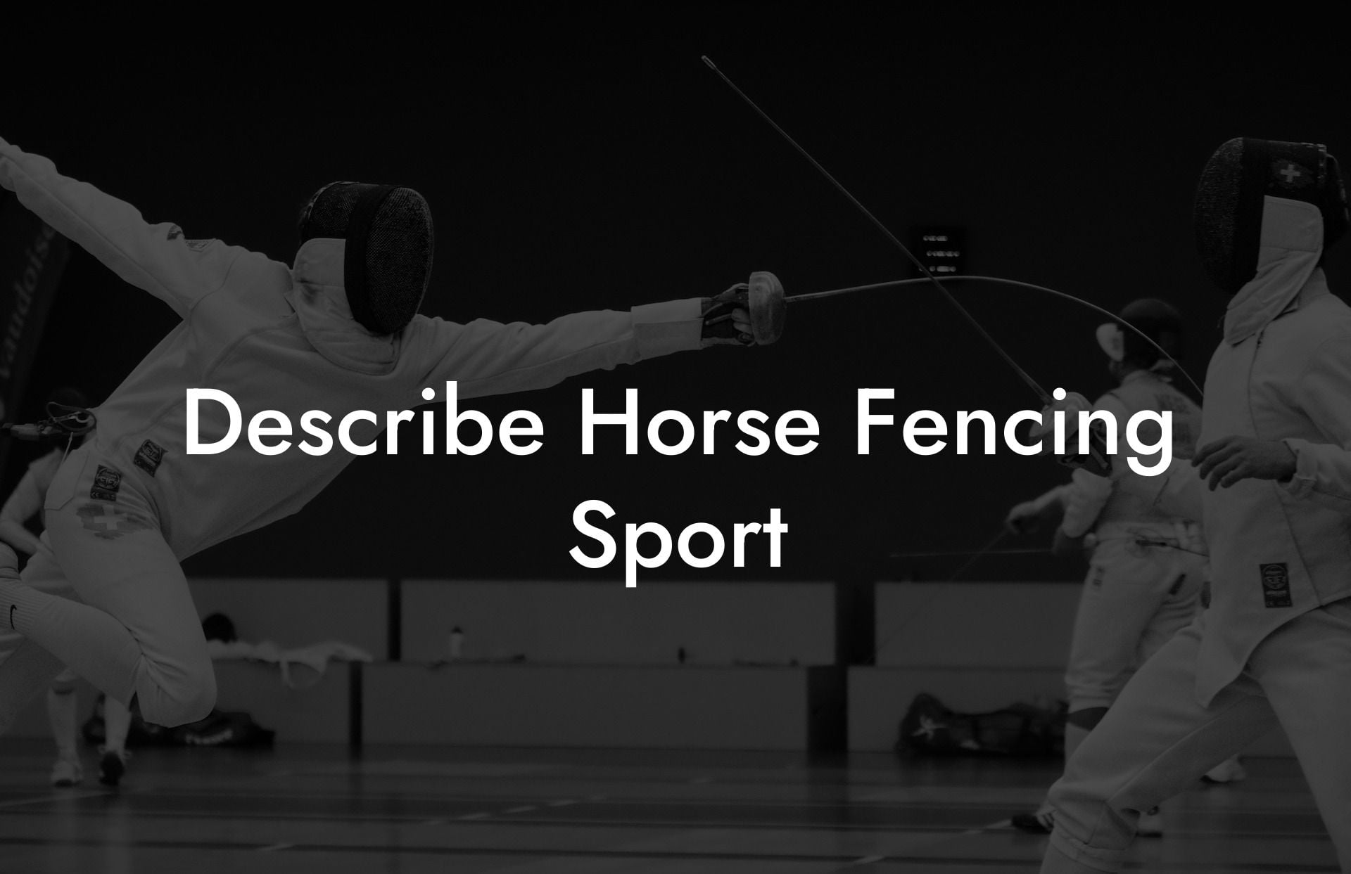 Describe Horse Fencing Sport