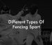 Different Types Of Fencing Sport