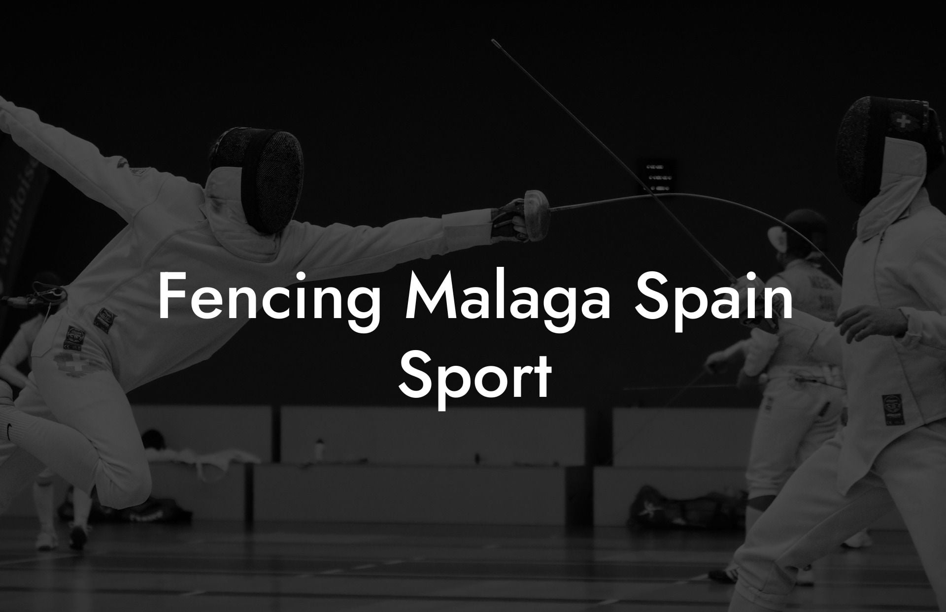 Fencing Malaga Spain Sport