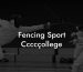 Fencing Sport Ccccçollege