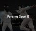 Fencing Sport E