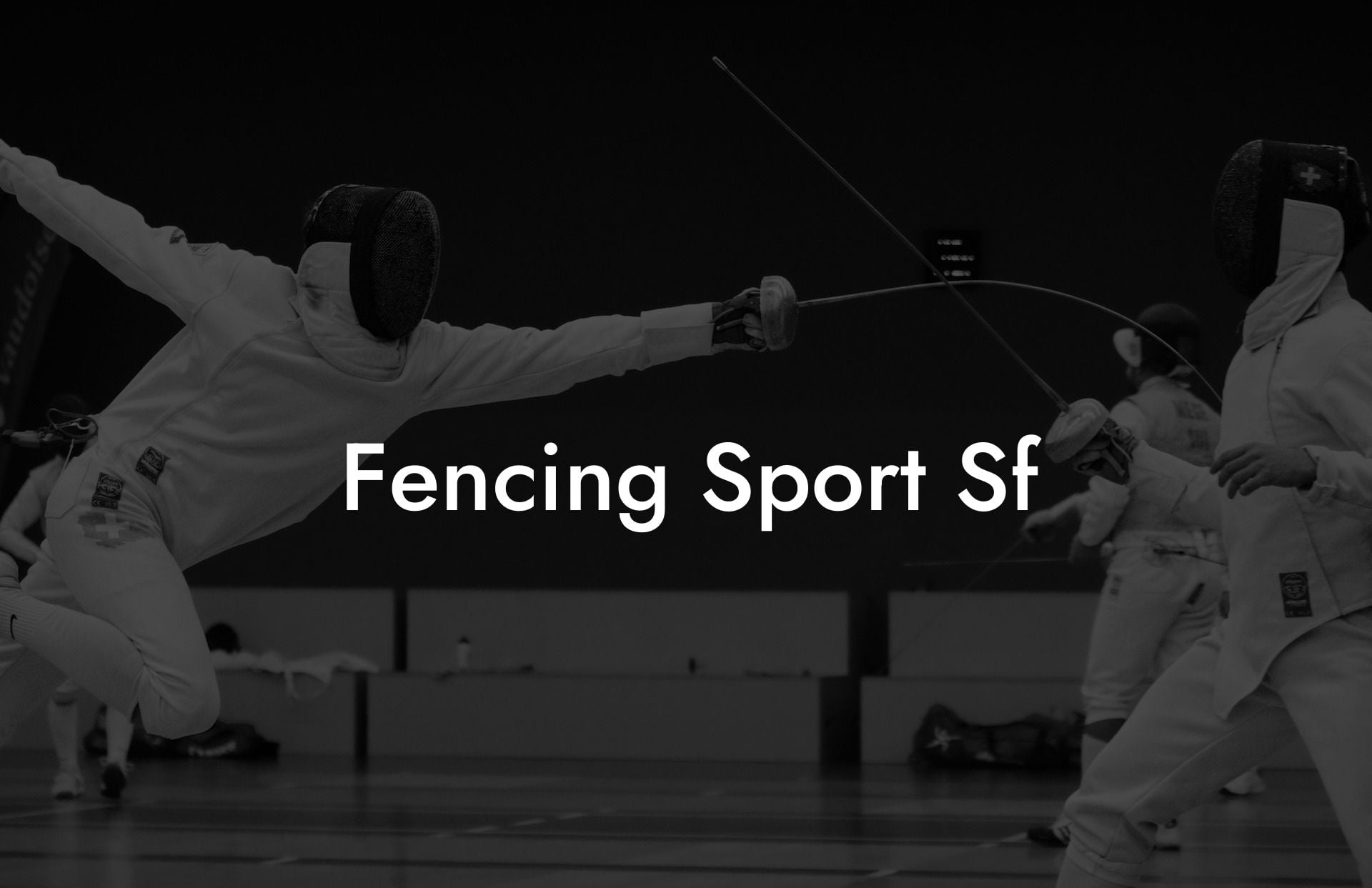 Fencing Sport Sf