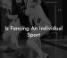 Is Fencing An Individual Sport