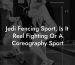 Jedi Fencing Sport, Is It Real Fighting Or A Coreography Sport