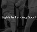 Lights In Fencing Sport