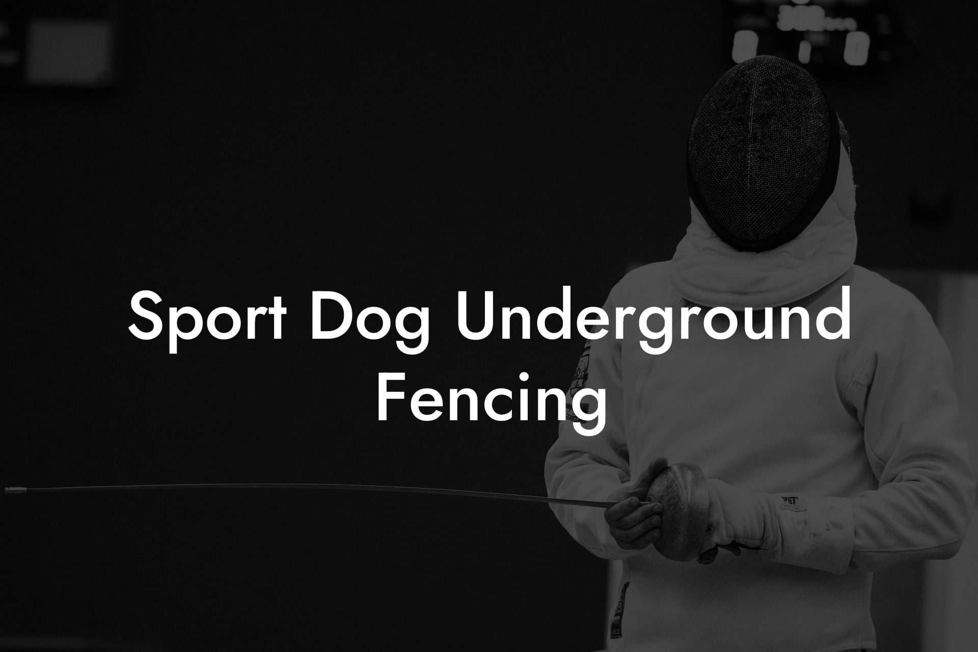Sport Dog Underground Fencing