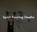 Sport Fencing Deaths
