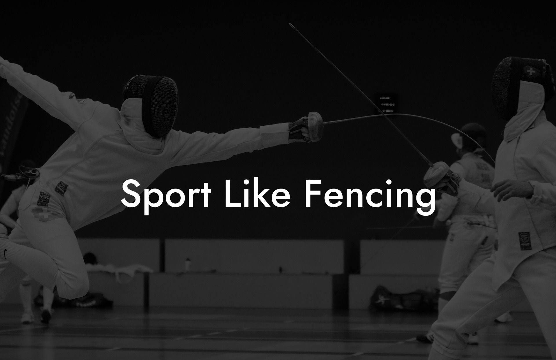 Sport Like Fencing