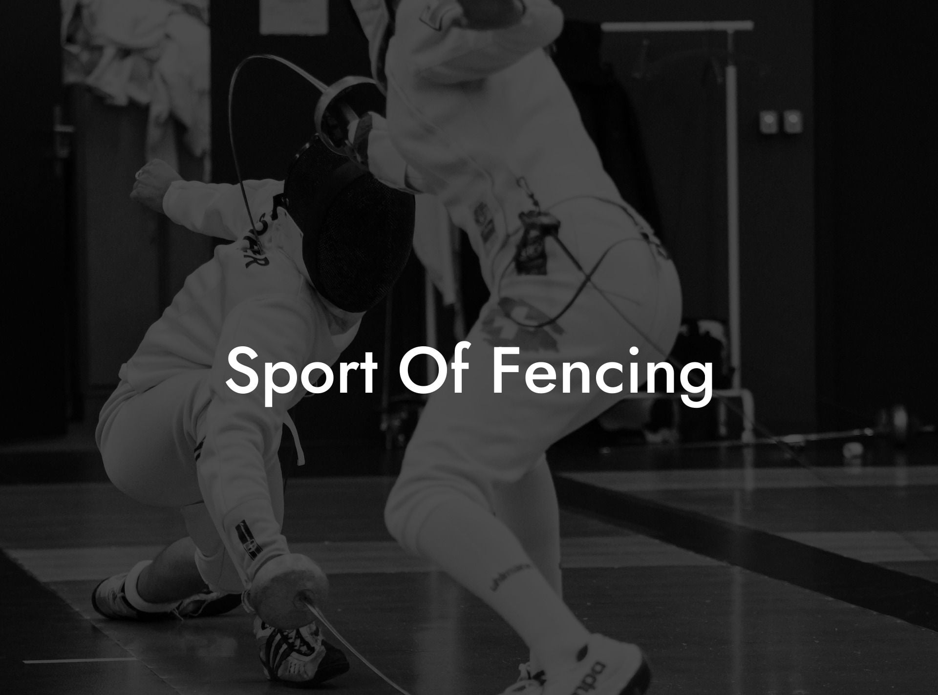 Sport Of Fencing