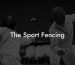 The Sport Fencing