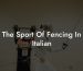 The Sport Of Fencing In Italian